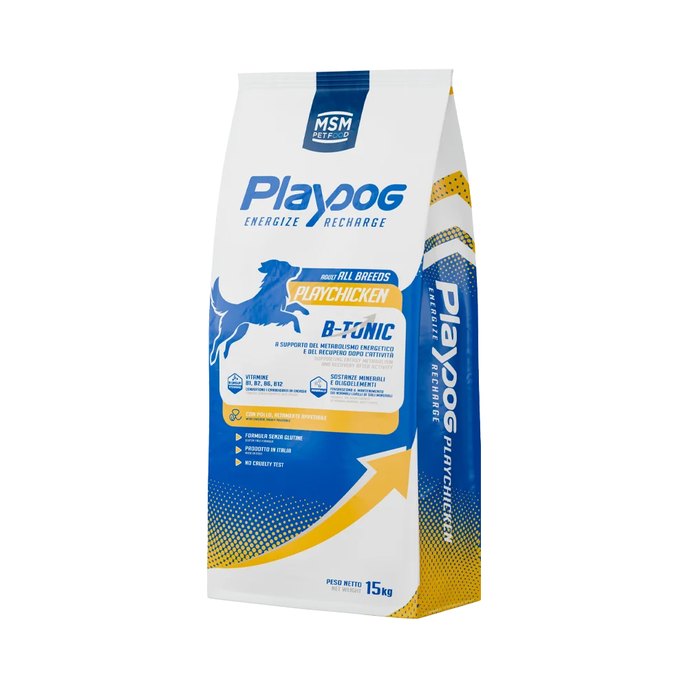 playdog_playchicken