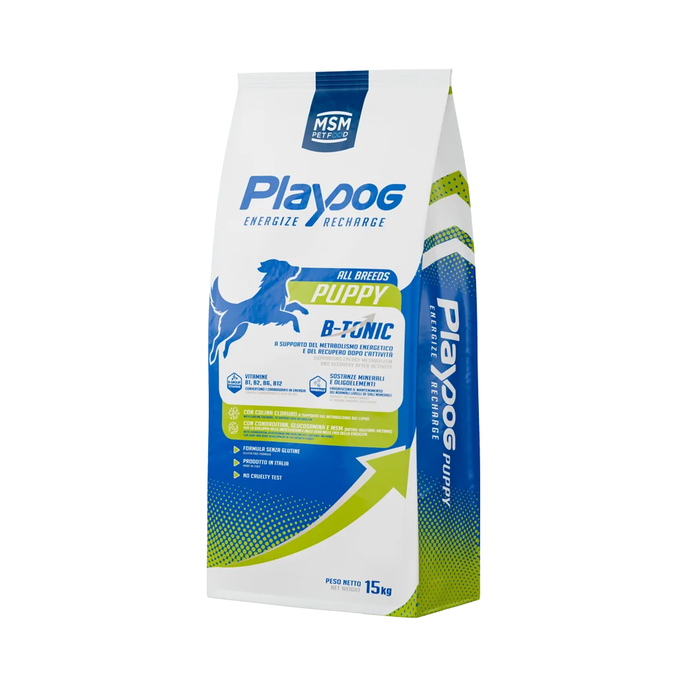 playdog_puppy