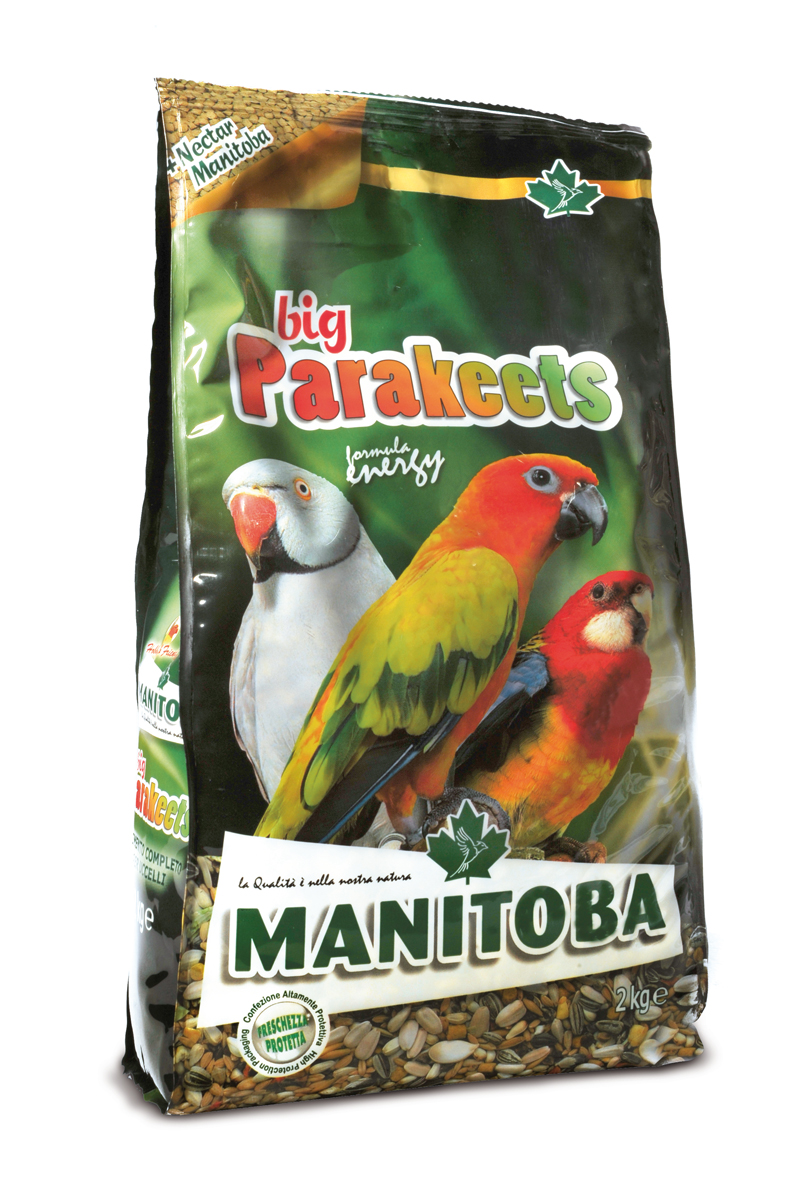big parakeets 2kg pc