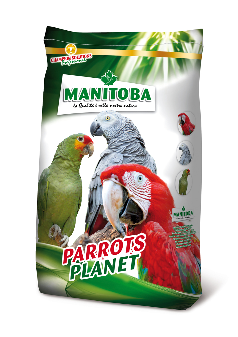 parrots life 15kg