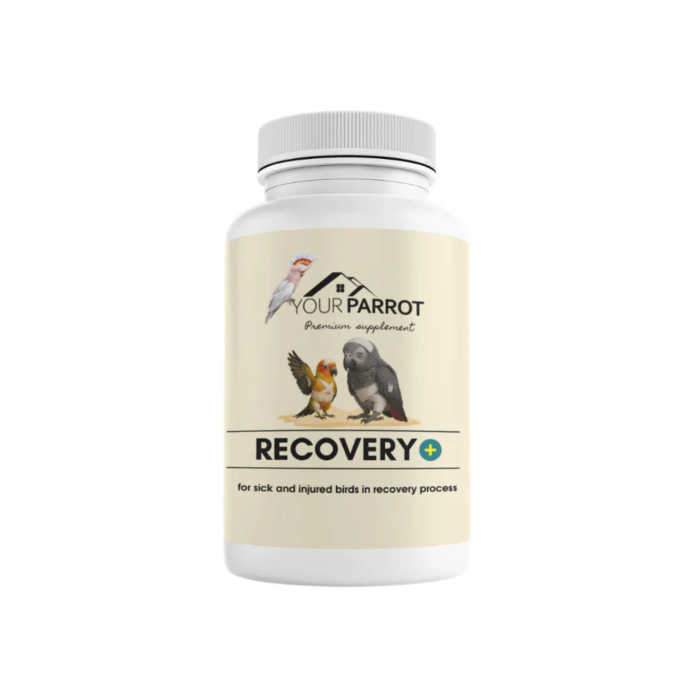 YourParrotRecoveryPlus-500g