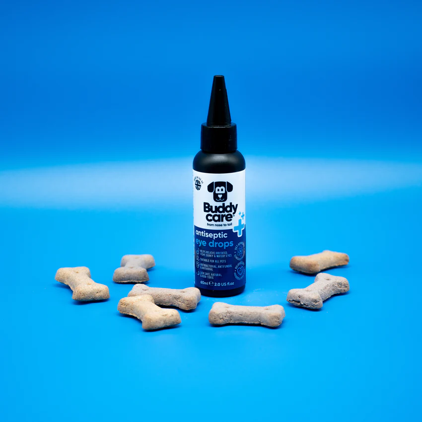 DSC00285