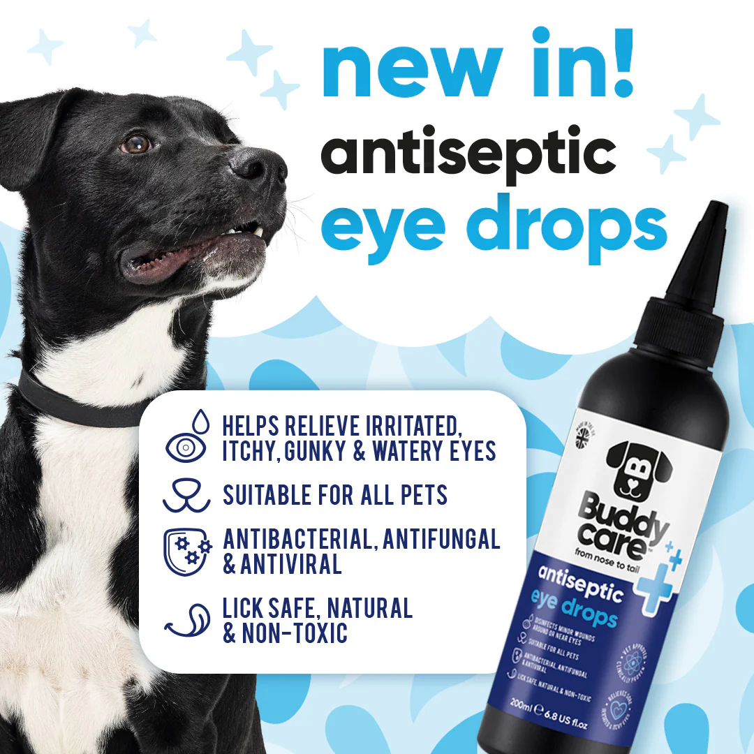 LinkedIn-NewLaunch-AntisepticEyeDrops