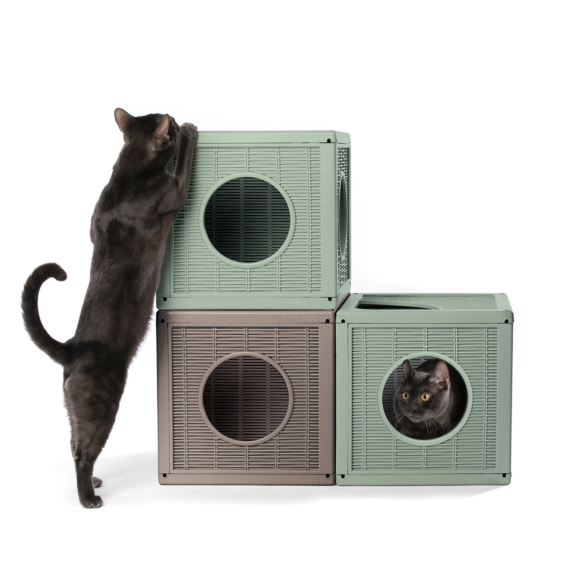 cuccia-gioco-gatto-Qublo-1-1