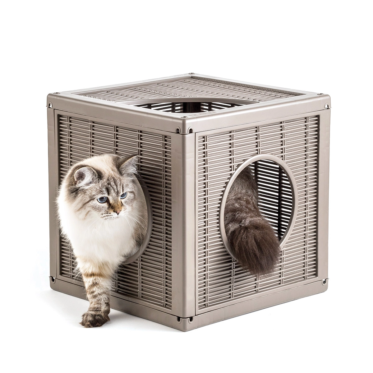 cuccia-gioco-gatto-Qublo-2