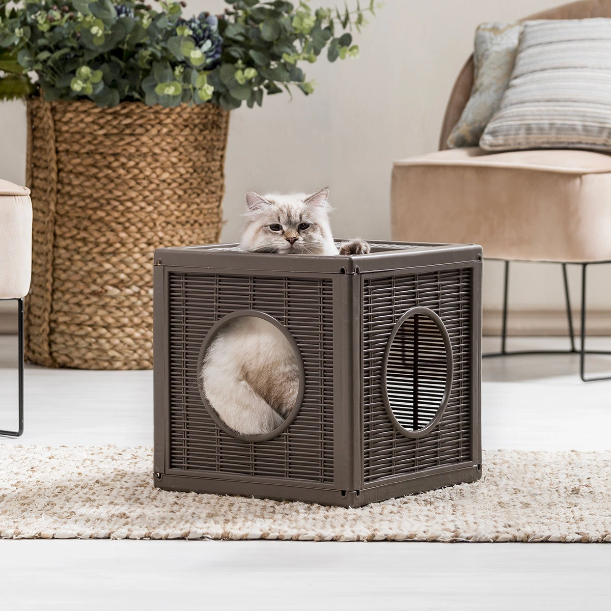 cuccia-gioco-gatto-Qublo-4