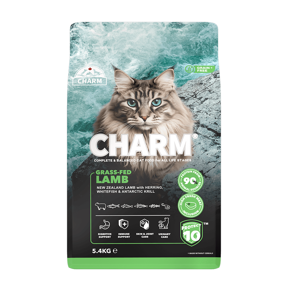 2-5_4Kg-Grass-fed-lamb-cat_frontal_Main_0000