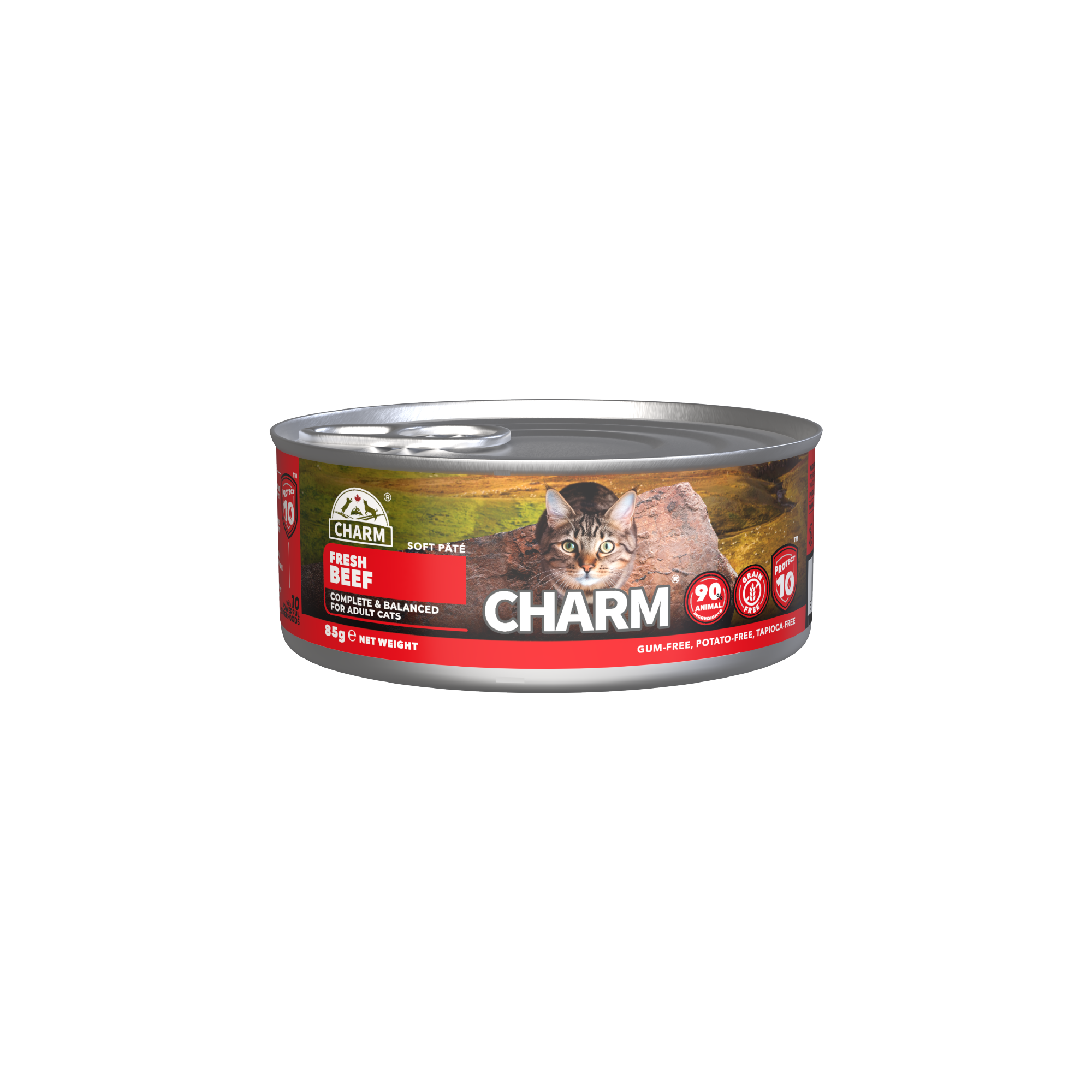BEEF PATE