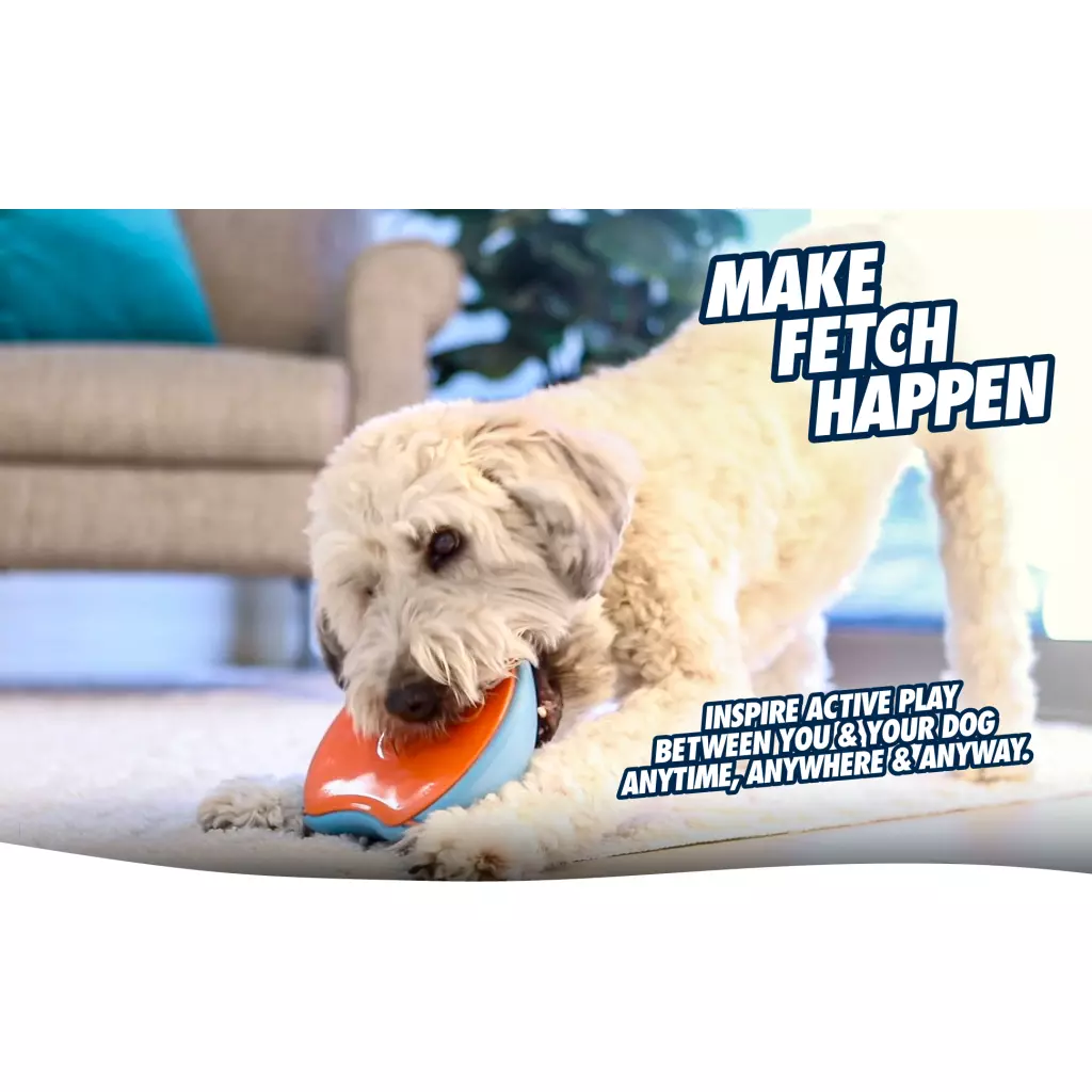 Chuckit---A+---Flying-Discs_02---Standard-Image---Fetch-main