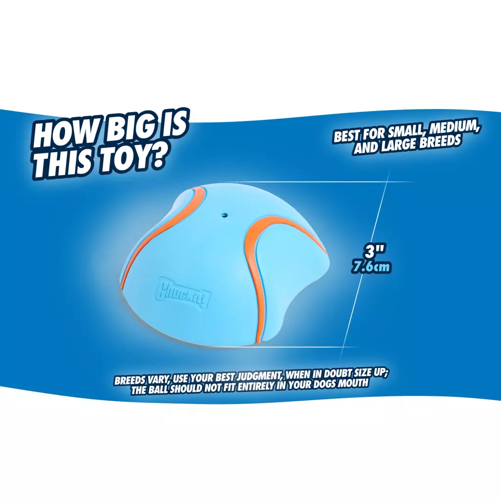 Chuckit---A+---Flying-Discs_03---Standard-Image---Ball-1-main