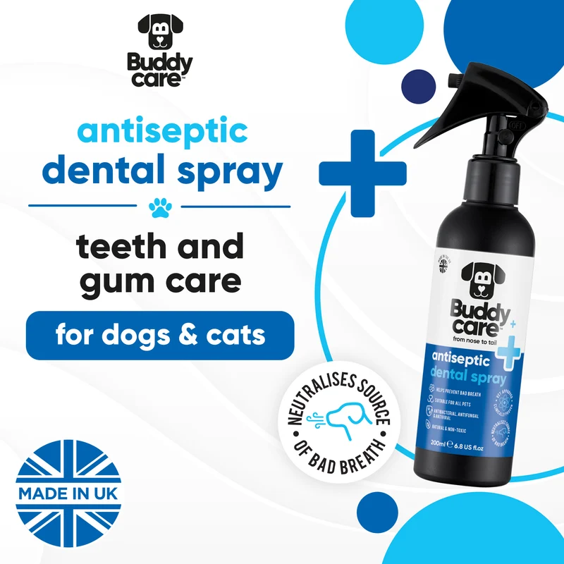 1.AntisepticDentalSpray_AmazonSecondary