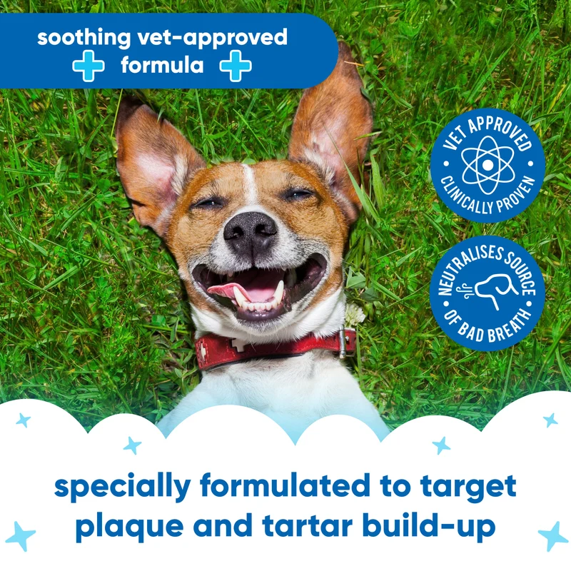 2.AntisepticFlea_Tick_AmazonSecondary_USPbenefits_0cd4a403-255d-4668-bcd2-61fb37193df9