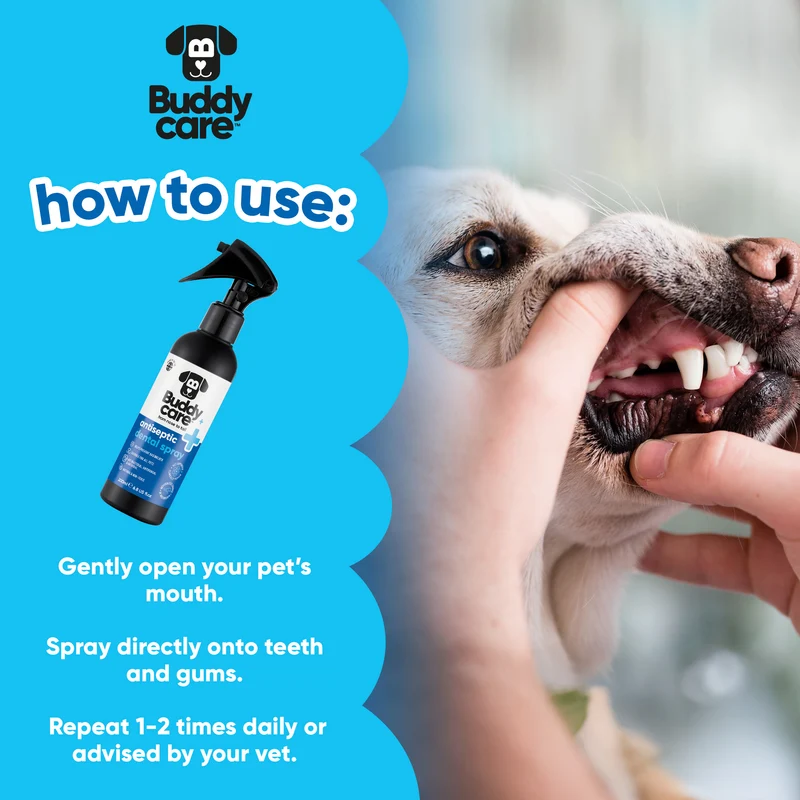 4.Antisepticdentalspray_AmazonSecondary_howtouse