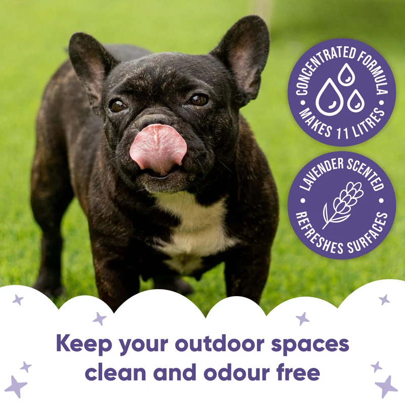 grass_cleaner_lavender_imagery_2